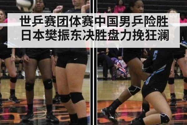 世乒赛团体赛中国男乒险胜日本樊振东决胜盘力挽狂澜